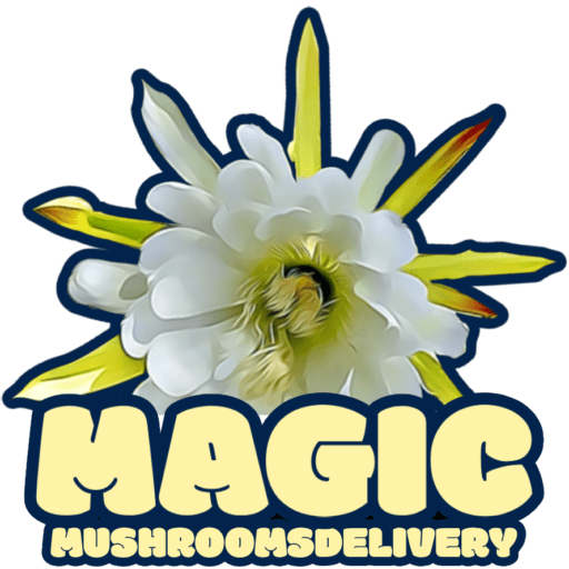 Magic Mushrooms Delivery