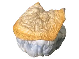Bluey Vuitton Mushrooms - 28g