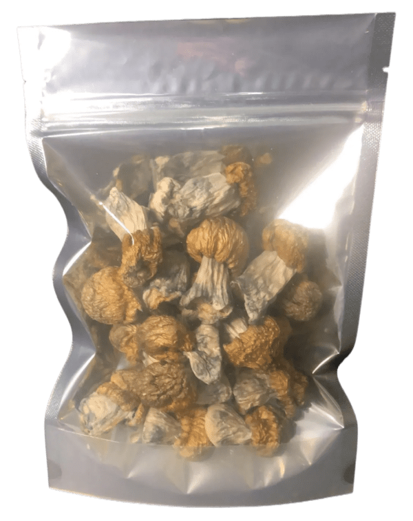 Mushroom Roulette (7g Heroic Dose Mix)