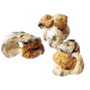 Dino Eggs