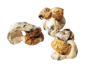 Dino Eggs - 28g