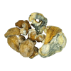 Dino Eggs