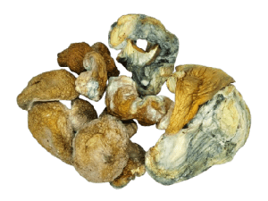 Dino Eggs - 28g