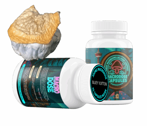 Bluey Vuitton Macrodose Capsules