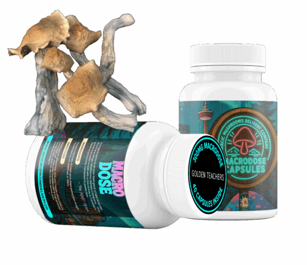 Golden Teachers Macrodose Capsules