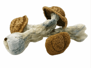 Code Blue Mushrooms - 28g
