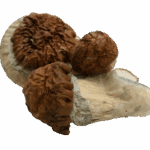 Texas Yellow Cap